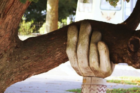 Ein dicker Baum wird von einer Steinhand gehalten.